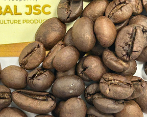 Reliable OEM <b>Robusta</b> <b>Coffee</b> <b>Beans</b> Grade 1 Partner Custom Valve Bags and Designs High Quality Fresh Roasted Daily Supply - Product Image 2