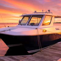UBI 818 Catamaran en aluminium personnalisé, taxi fluvial de luxe, ferry pour la pêche, croisière fluviale, yacht 8,3 m, 14 passagers