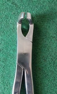 Premium Equine Molar Extraction Forceps with Serrated Jaws Horse Dental Surgical Instrument Veterinary Surgical Instrument - Product Image 2