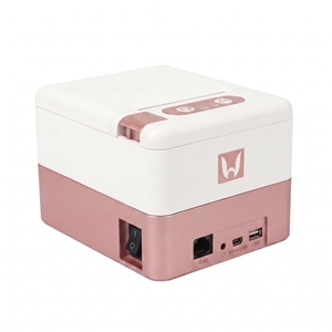 Imprimante thermique de reçus et d'étiquettes P20 Mini 58 mm couleur or rose avec USB+BT - Product Image 2