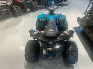 Global Sale 2026 Can-Am RenegadeS 110 EFI <b>UTV</b> For Adults - Product Image 2