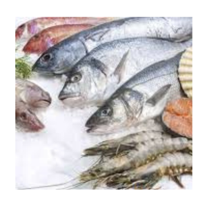 EXPORTATION DE POISSON CONGELÉ À BON PRIX ET AUX NORMES DE QUALITÉ DES FOURNISSEURS VIETNAMIENS/Ms.Thi - Product Image 1