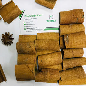 Canela de Corte Cuadrado de Alta Demanda/Canela/Darichini - Lista para Exportar - Product Image 1