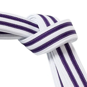 Ceintures de karaté BJJ personnalisées avec logo, extensibles, souples, légères, respirantes, doublure en coton de haute qualité, unisexe, entraînement d'arts martiaux - Product Image 5
