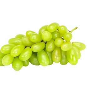 Uvas Verdes Frescas de Primera Calidad, Cosechadas en Granja, Sin Semillas, Marca Ocean Link Exim, para Suministro al por Mayor y Mercados Minoristas - Product Image 3