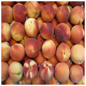 Pêches fraîches, sucrées et juteuses, de qualité supérieure et biologiques - Product Image 5