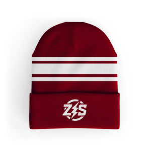 <b>Green</b> Striped <b>Beanie</b> ZS Logo Sublimation Transfer Print 3D Embroidery Unisex Adult Winter Casual Breathable Sporty Hat 56-58CM - Product Image 5