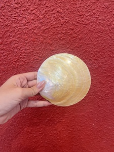 Vietnam Natural Mother of Pearl <b>Discs</b> Golden Iridescent Seashell for Dessert Plates Caviar Holder Jewelry Storage Home Decor - Product Image 2
