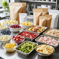 Lyophilisateur commercial SJ-50H-SM03 pour fruits de mer et viandes, capacité de 50-70 kg par lot, pour la transformation du poisson, des crevettes, de la volaille et des plats préparés