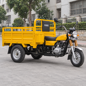 Triciclo Motorizado de Carrocería Abierta de 200-300cc, a Gasolina, Bajo Consumo para Recados Diarios - Product Image 2