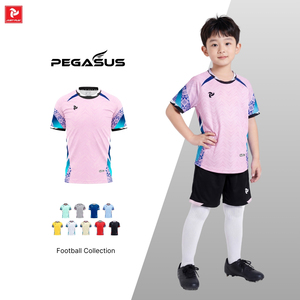 เสื้อฟุตบอลสั่งทำพิเศษ แห้งเร็ว ระบายอากาศได้ดี สำหรับผู้ชาย ผู้หญิง เด็ก ชุดทีม OEM ODM หลายสี ลายเพกาซัส - Product Image 4