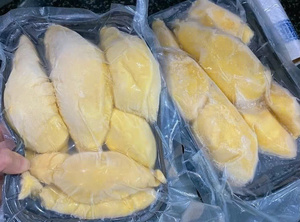 Polpa de Durian Congelada Premium Estándar ISO, Control de Calidad Estricto, Suministro de Fábrica para Aplicaciones Alimentarias Comerciales - Product Image 4