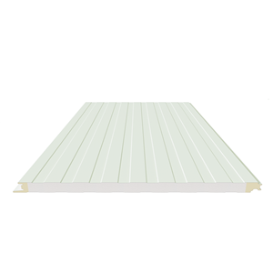 Panel Sándwich Exterior PREXS EPS, Sistema de Aislamiento Térmico Ligero y de Bajo Costo - Product Image 2