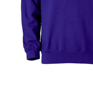 Sweat-shirt à capuche décontracté pour homme 100 % coton, en molleton épais, violet royal, avec lettrage, vente en gros - Product Image 2
