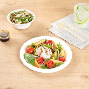 Eco 6 Inches Disposable Heavy Duty Bagasse Biodegradable Plates Microwave <b>Freezer</b> Safe Party Fast Food Dessert Plates - Product Image 1