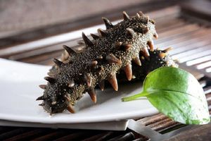 Premium Vietnamese Dried Sea Cucumber for Export - Product Image 5