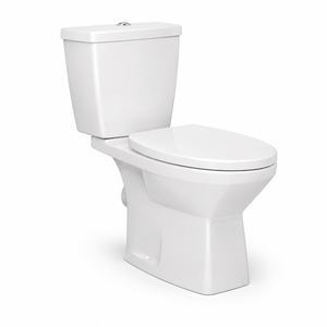 Premium Ceramic Two Piece EWC Toilet P Trap S Trap Modern Bathroom WC Manufacturer India - Product Image 2