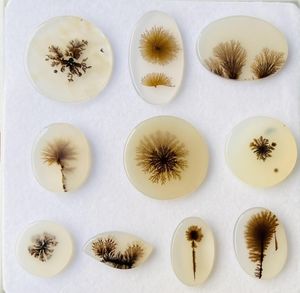 Lote al por mayor de cabujones de ágata musgosa dendrítica natural, gemas sueltas de formas variadas para la fabricación de joyas - Product Image 1