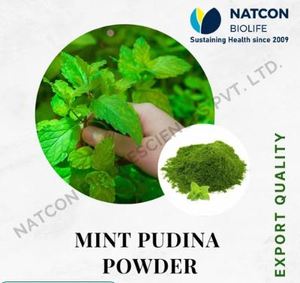 Premium Organic Mint Pudina Powder Natural Dried Mint Leaf Spice Natural Flavoring Spice <b>Blend</b> By Exporter - Product Image 2
