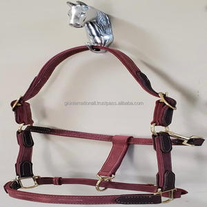 Halter de cheval d'équipement de cheval en cuir de vache de haute qualité 100% avec le matériel d'acier inoxydable pour le produit équestre supérieur de course - Product Image 2