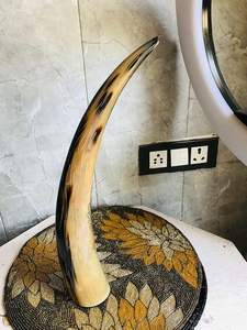 Pieza decorativa de cuerno de diseño para decoración de hoteles, oficinas y recepciones a bajo presupuesto. Elegante pieza decorativa de cuerno de CRAFT ZONE EXPORT. - Product Image 4