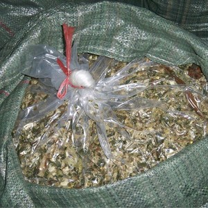 ซังข้าวโพดสำหรับป้อนสัตว์ในปริมาณมาก - Product Image 4