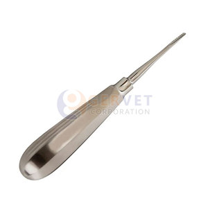 Ensemble de 2 élévateurs dentaires micro-dentelés droits et courbés de qualité supérieure – Instruments de dentisterie - Product Image 2