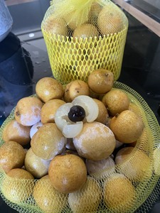 LONGAN CONGELADO 100% ORGÁNICO PROCESADO CON LQF para POSTRES y BEBIDAS |   PRODUCTOS SALUDABLES 1kg AL POR MAYOR DE VIETNAM // Evan - Product Image 3