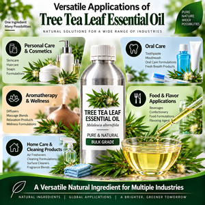 Fournisseur en gros d'huile essentielle de Melaleuca Alternifolia pour les importateurs internationaux et les grossistes - Product Image 3