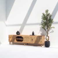 Meuble TV en bois Vandana Novara Falcon, console de divertissement minimaliste en bois massif moderne