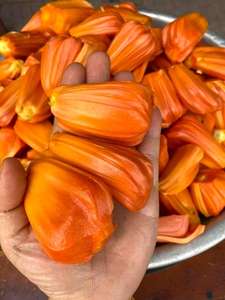 Frozen <b>Red</b> Jackfruit For Beverage Ice Cream Smoothie Bubble Tea Dessert Supplier Vietnam - Product Image 5