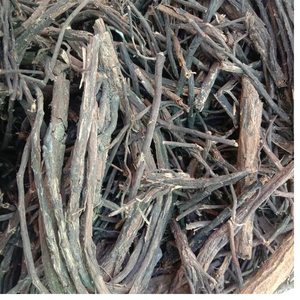ผงสกัดจากรากอากาศต้นไทรเบงกัลเลนซิส ผลิตในอินเดีย - Product Image 1
