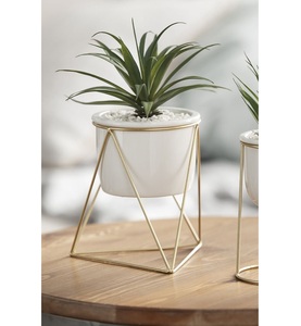Modern Metal Wall Planters with Geometric <b>Frames</b> for Indoor Outdoor Green <b>Plants</b> Terracotta Pots Hanging Vertical Garden Decor - Product Image 3