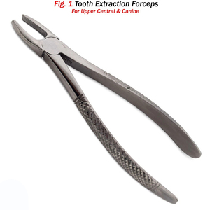 ฟันสกัดคีม Fig 1ฟันบนกลางด้านข้างเขี้ยว - Product Image 4