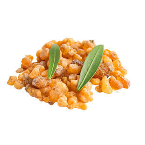 El Mejor Distribuidor del Mundo Ofrece Goma Copal de Alta Calidad Inigualable para Uso en Pinturas, Incienso y Productos de Fragancia - Product Image 1