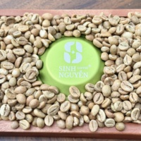 Grains de café Robusta vert de qualité supérieure du Vietnam, best-seller pour la torréfaction en gros, café Sinh Nguyen 50 kg/sac