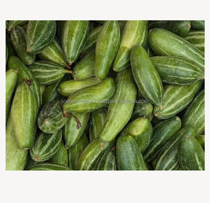 Calabaza Verde Fresca de Primera Calidad de Bangladesh, Suministro Directo de Granja, Calidad de Exportación, Seis Estaciones, Agro - Product Image 6