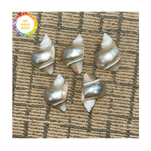 Natural Handmade Shell Napkin Ring Luxury Seashell <b>Serviette</b> Holder Silver Plated for Wedding Restaurant - Product Image 5