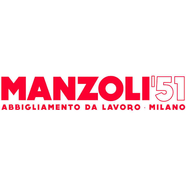 Manzoli srl logo