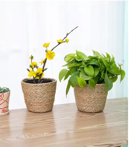 Wholesale Jute <b>Tree</b> <b>Pot</b> Supplier – Eco Friendly Natural Fiber Planter Cover with Custom Size and Design Options - Product Image 4