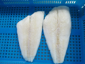 Meilleure Qualité Vente en Gros de Flounders Congelés en Vrac Qualité Alimentaire Premium Stock Prêt à l'Exportation - Product Image 4