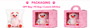 Ours en peluche arc-en-ciel, jouet en peluche doux en velboa, coussin à câliner, cadeau, OEM personnalisé, vente en gros - Product Image 5