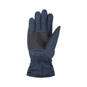 Gants de ski imperméables Arctic, isolés thermiquement, pour snowboard, compatibles écran tactile, antidérapants, pour sports de neige en extérieur, OEM, marque privée - Product Image 4