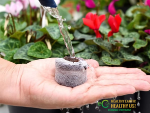 Eco2go Vietnam – Prix le plus bas – Granulés de coco biodégradables naturels pour le jardinage, Coir Jiffy disponible en plusieurs tailles - Product Image 6