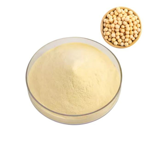 Concentrado de Proteína de Soya, Proteína Vegetal Premium para Panadería, Bebidas, Lácteos y Aplicaciones Alimentarias - Product Image 4