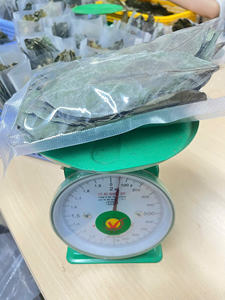 Soursop <b>Tea</b> Bag Dried Graviola Leaves Black <b>Tea</b> Individual Packets Premium Natural Vietnam Origin 24 Months Shelf Life Organic - Product Image 3