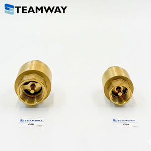 TEAMWAY ซีรีส์ C วาล์วกันกลับลมแบบทองเหลือง, วาล์วกันกลับทางเดียว, เกลียวใน 1/8" 1/4" 3/8" 1/2" 3/4" - Product Image 4