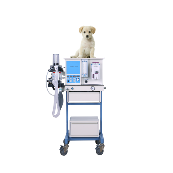 Medical Equipment Portable Veterinary Anesthesia Machine Anesthesia System Essential Surgery Equipment