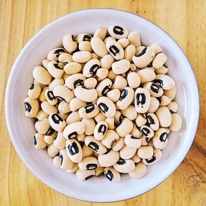 Haricots blancs à yeux noirs de qualité supérieure, de pureté élevée, naturels et purs - Product Image 2