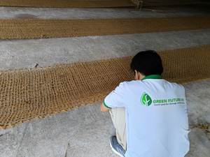Red de Fibra de Coco Tejida 100% Natural |   Malla Geotextil Ecológica para Proyectos Ambientales de Vietnam - Product Image 3